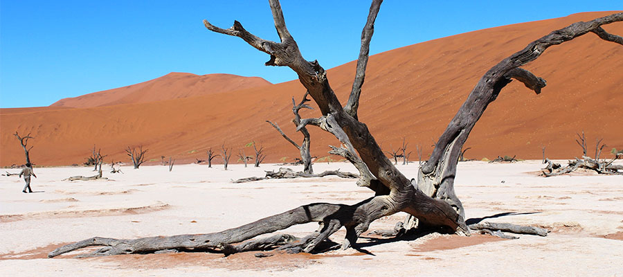 experience the culture