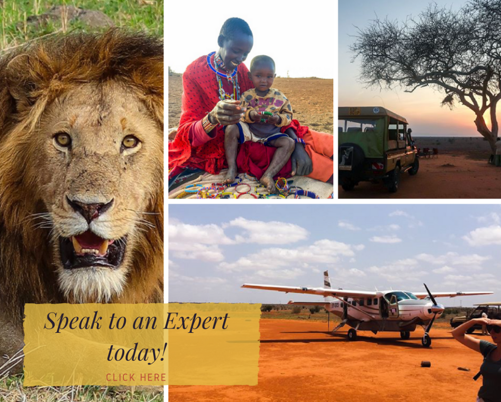 Honeymoon Africa Personal Experience