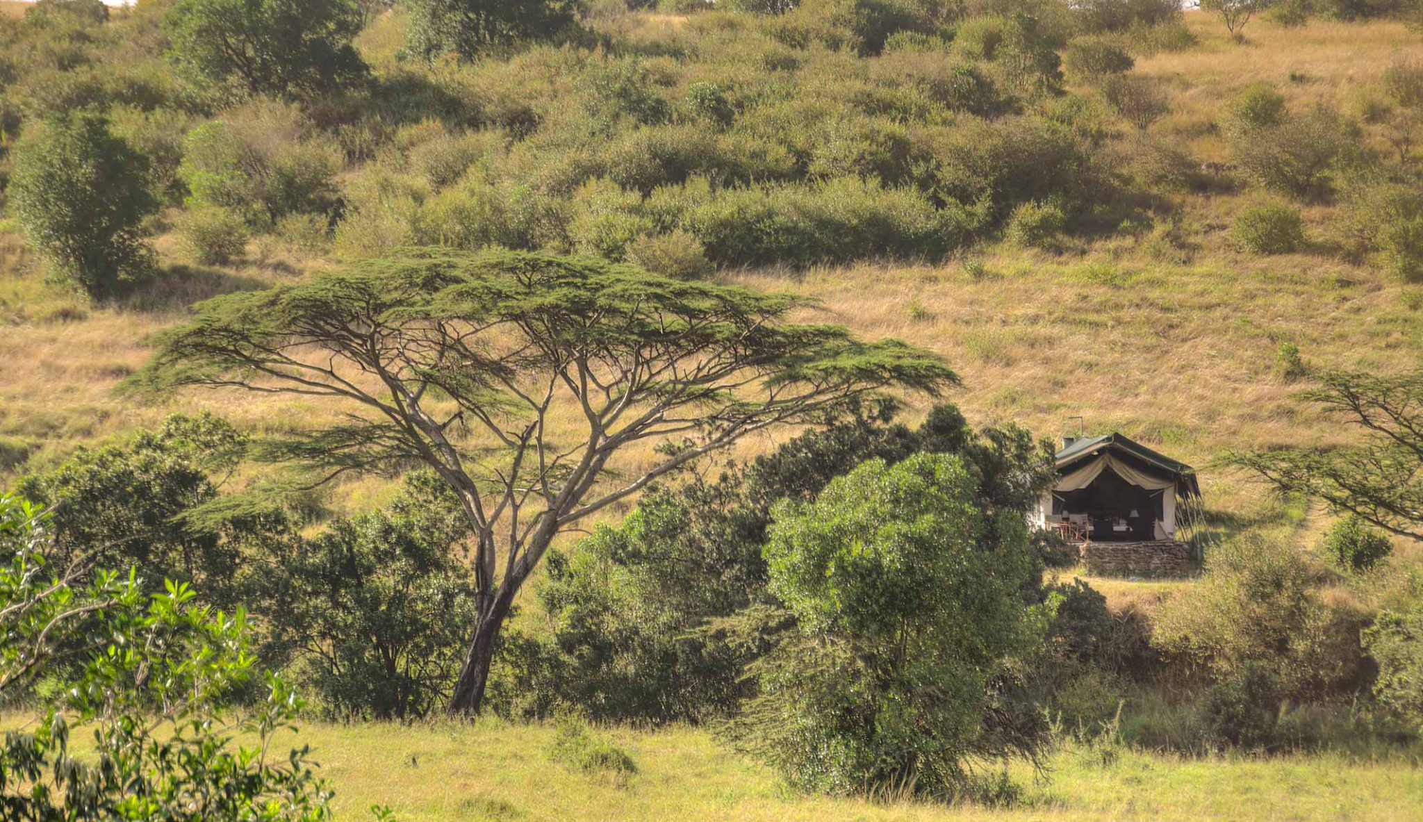 Wild Luxury Kenya