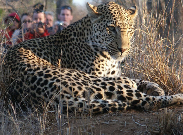 My First Impressions of Africa – by Lauren Roby