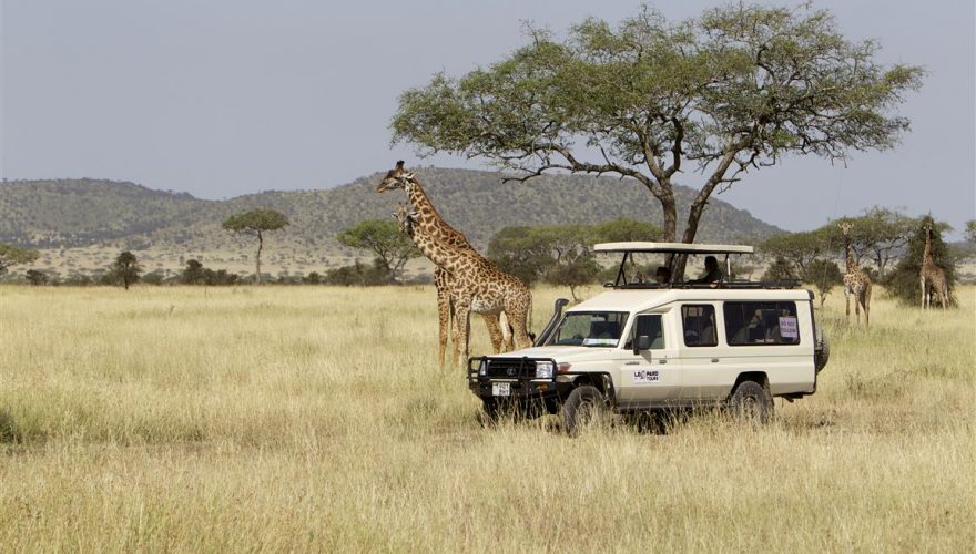 Serengeti Safari Vehicle