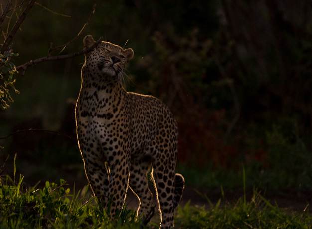 The Most Amazing Experiences From The Most Experienced Operators