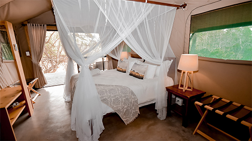 Little Africa Safari Lodge