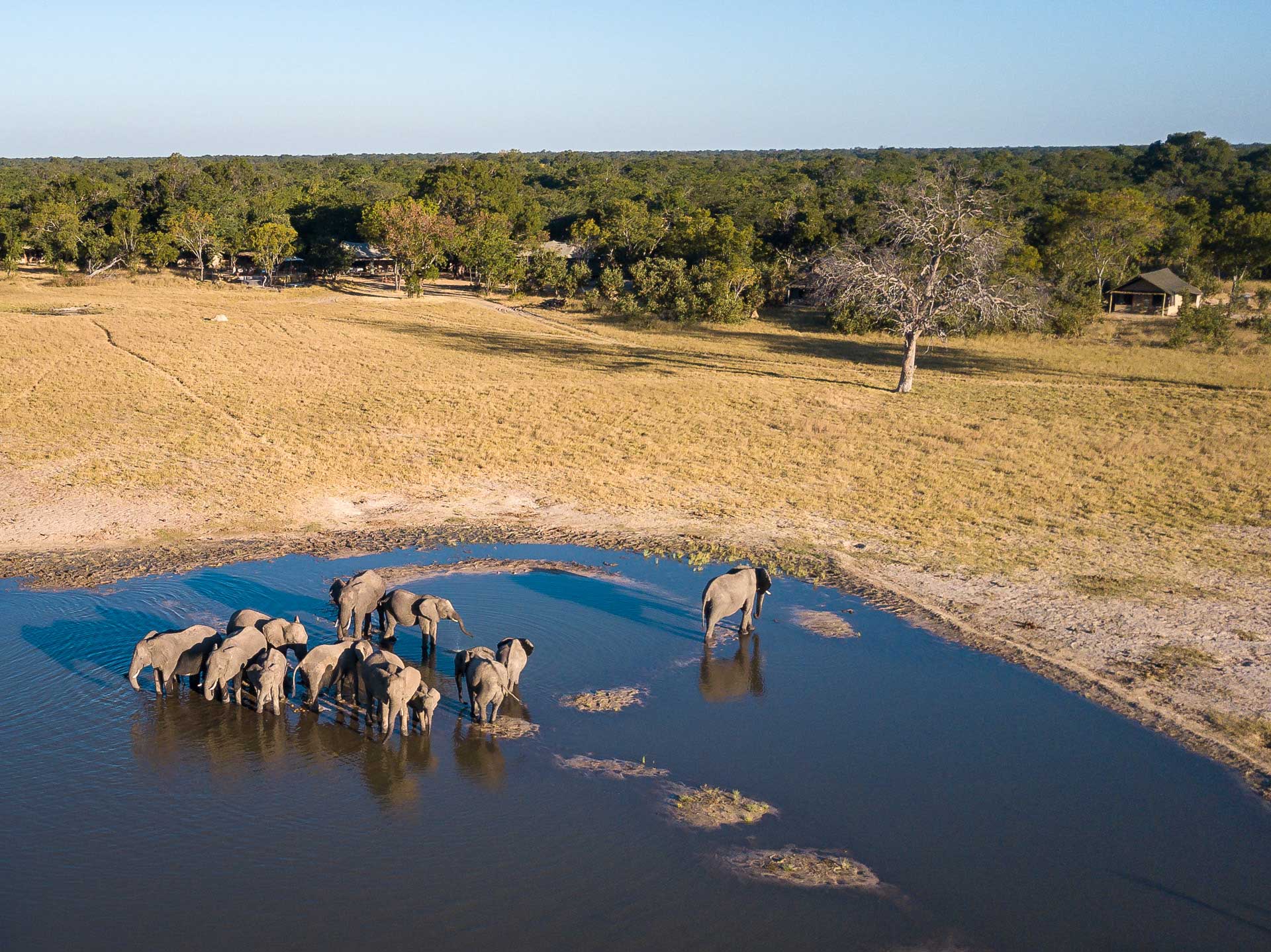 Waterhole Little Makololo