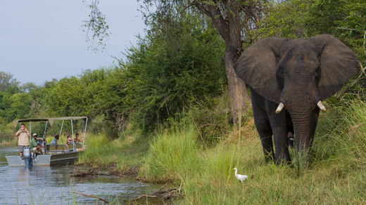 Waterfalls & Wildlife