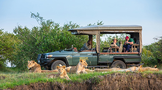 Wild Luxury Mara Escape