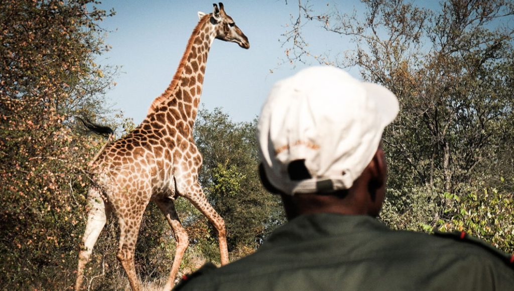 South Africa Special Offer