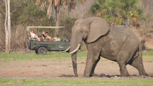 Southern Tanzania Highlights – Superior