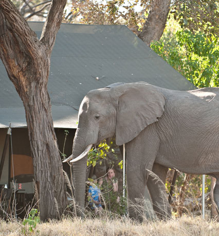 Why is Ecotourism so Important?