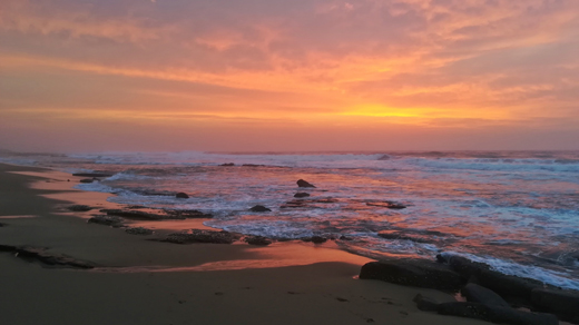 Magnificent Garden Route