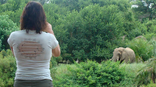 Makutsi Walking Safari