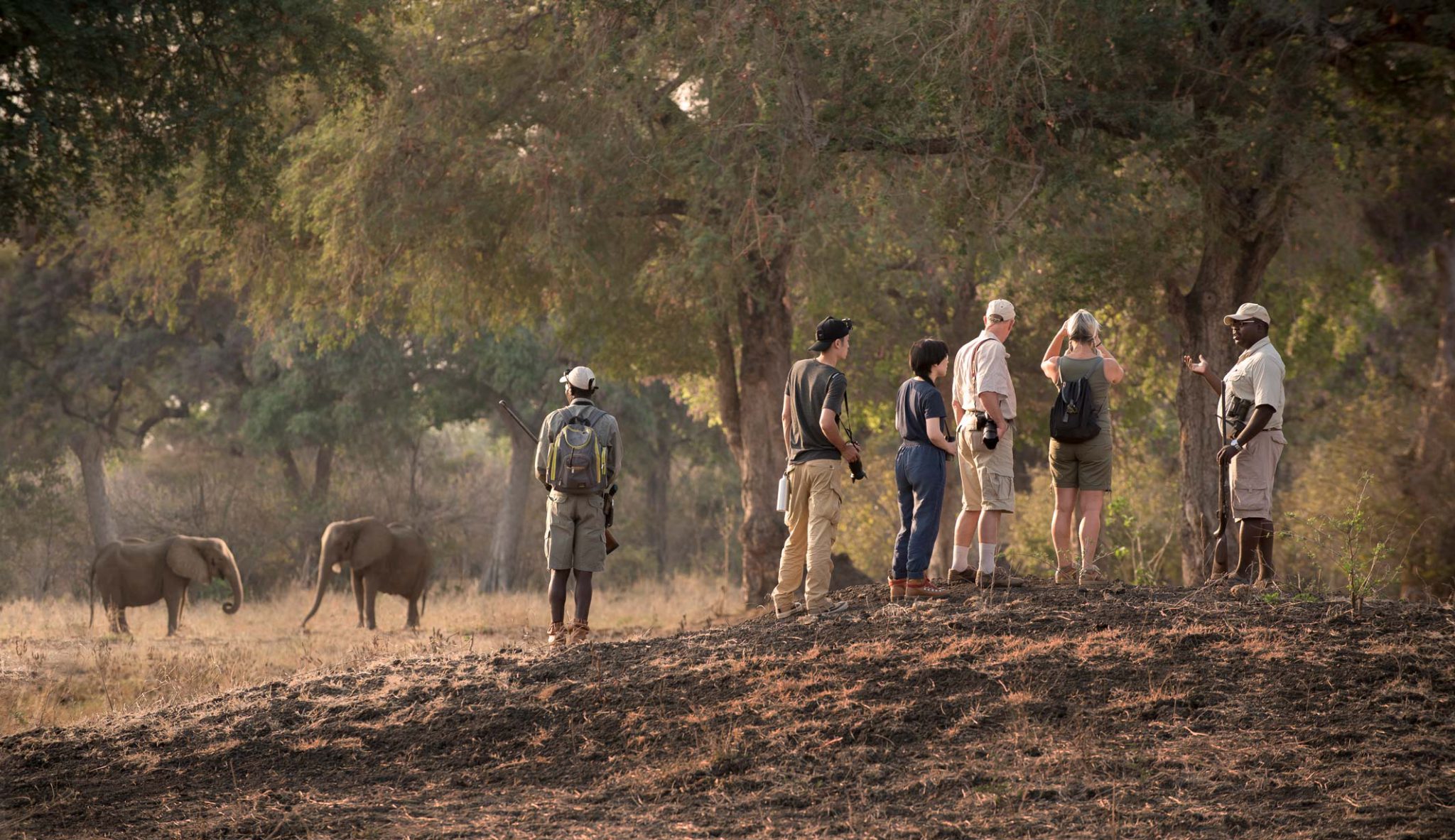 Walking Safari Nyamatusi Mahogany