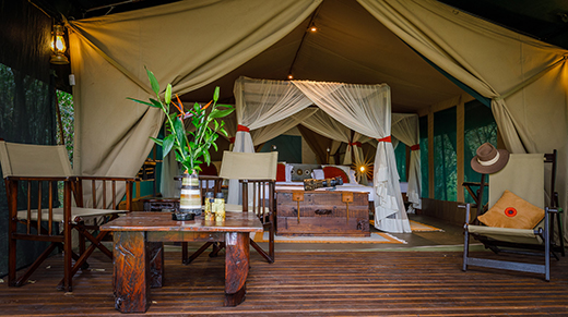 Mara Bush Camp