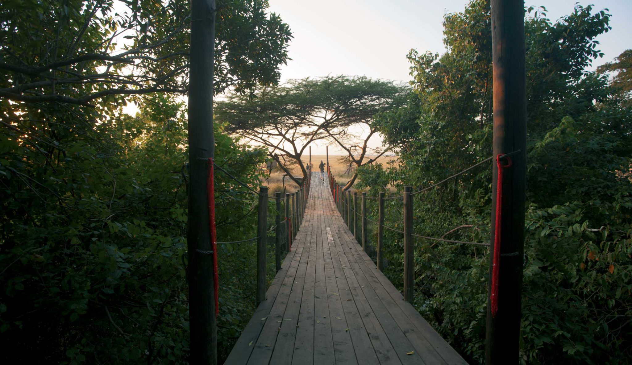 Mara Plains Conservation Camp