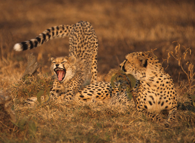 3 incredible spots in East Africa