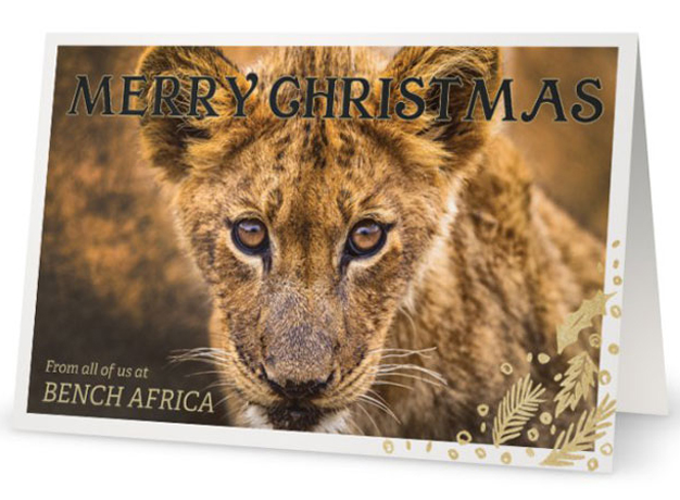 Christmas at Bench HQ!