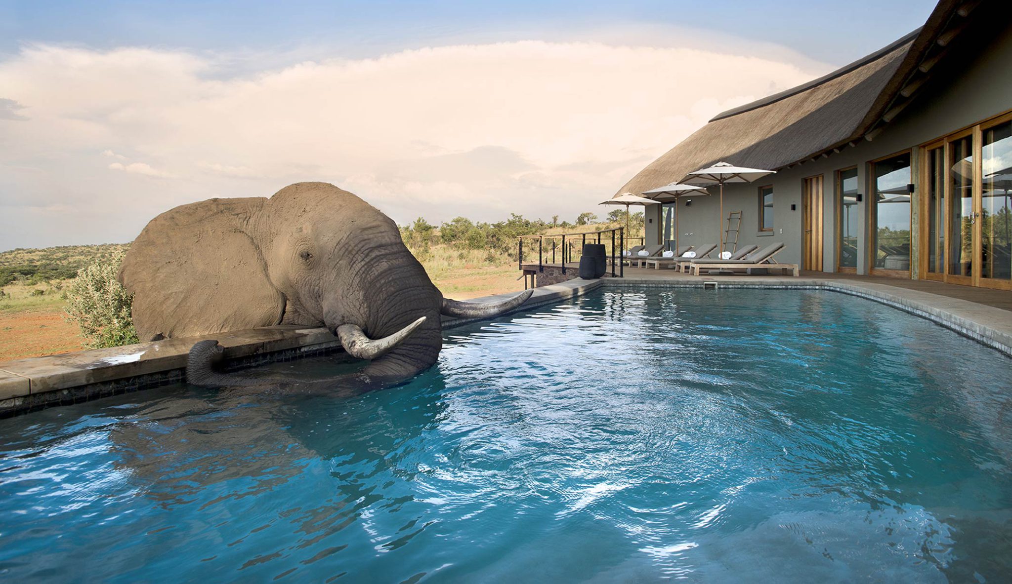 Child Friendly Safari Africa