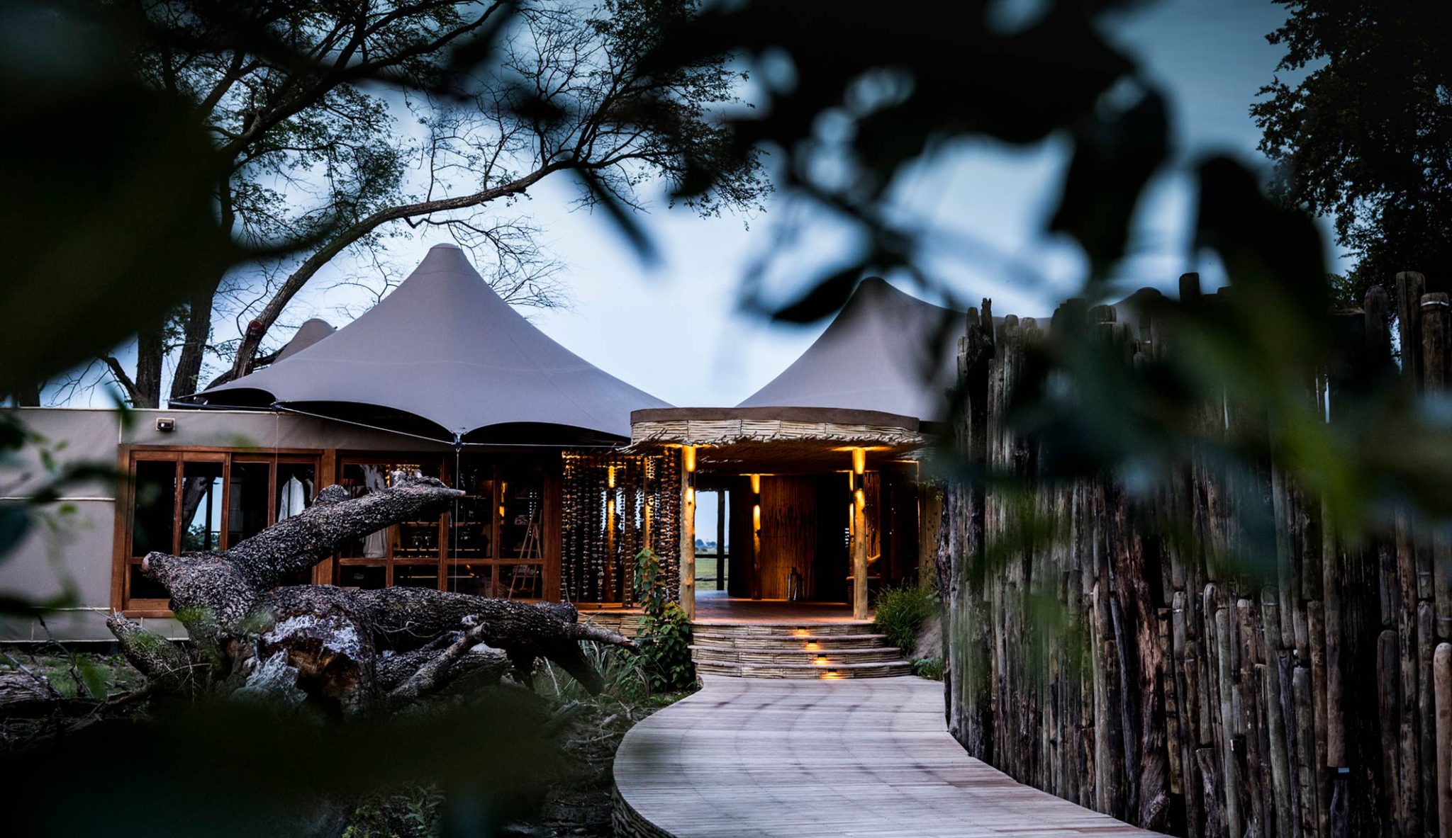 Mombo Wilderness Safaris