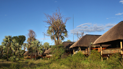 Cape Town to Victoria Falls Small Group Tour