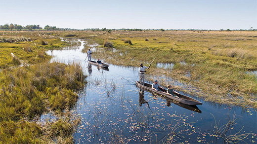 River and Delta Wilderness Safari