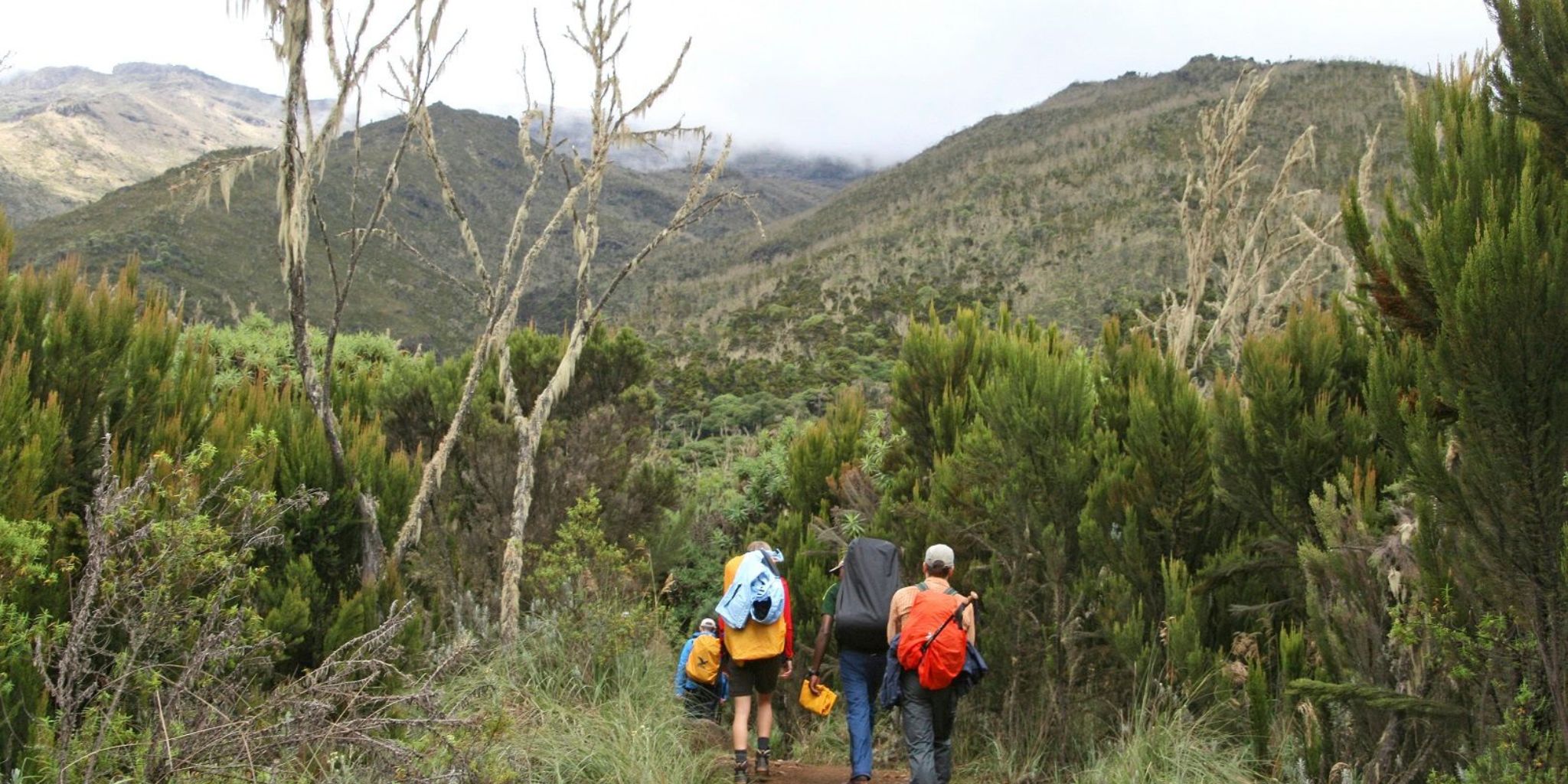 Hiking Rongai route to Kilimanjaro