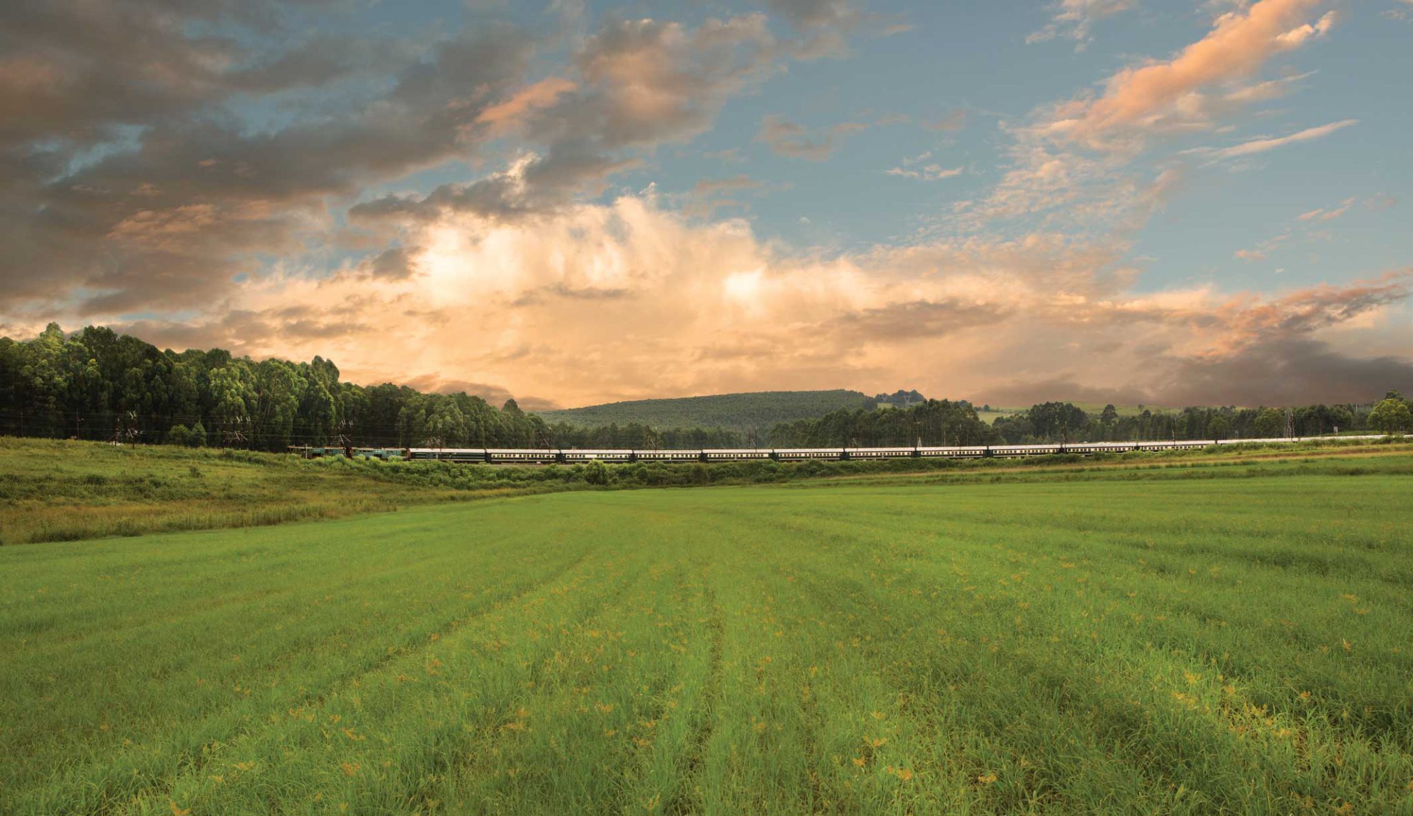 Rovos Rail - Luxury Africa