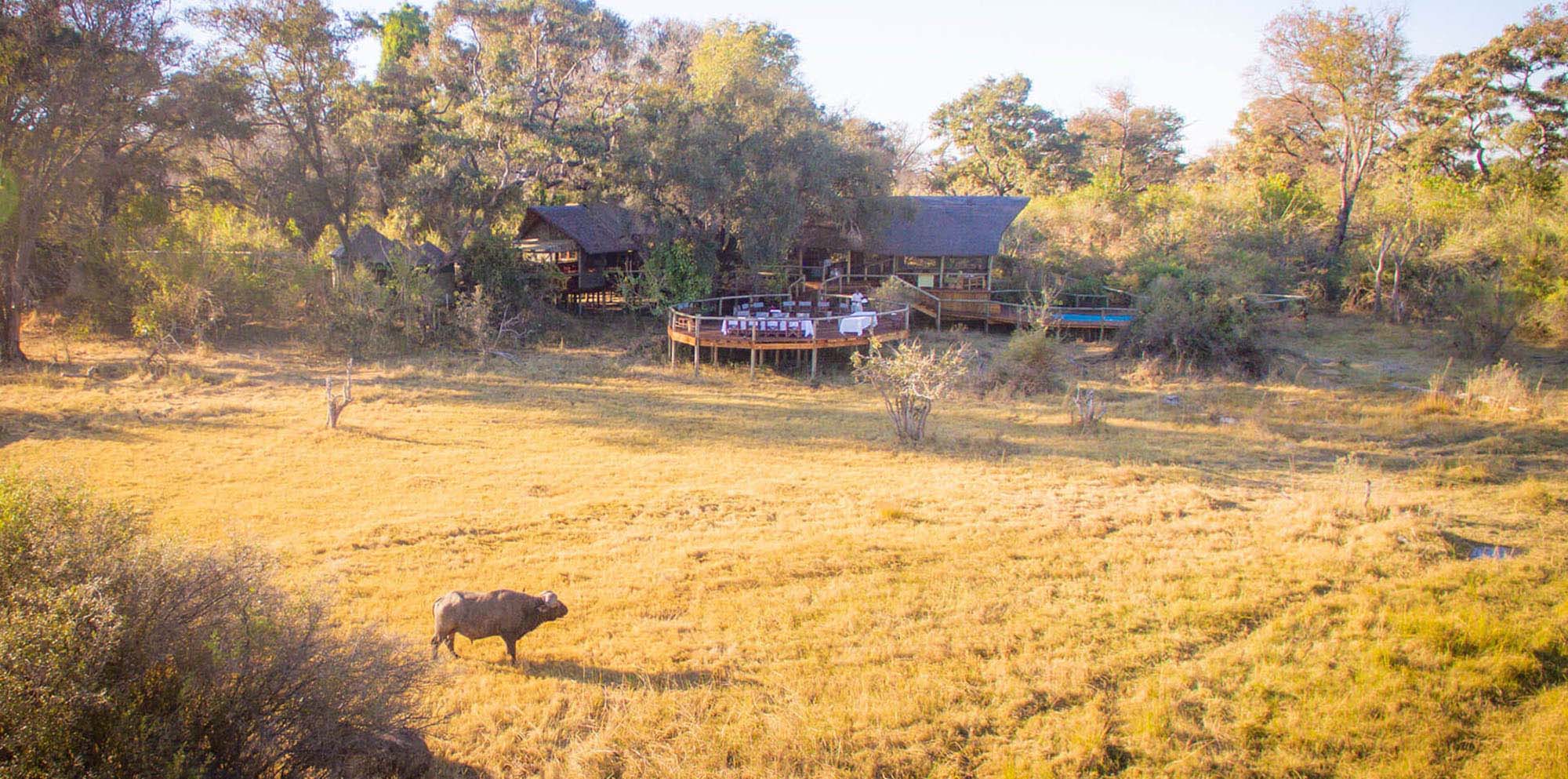 adjacent to Moremi Game Reserve on the south eastern side of the Delta. Overlooking the Gomoti River floodplains