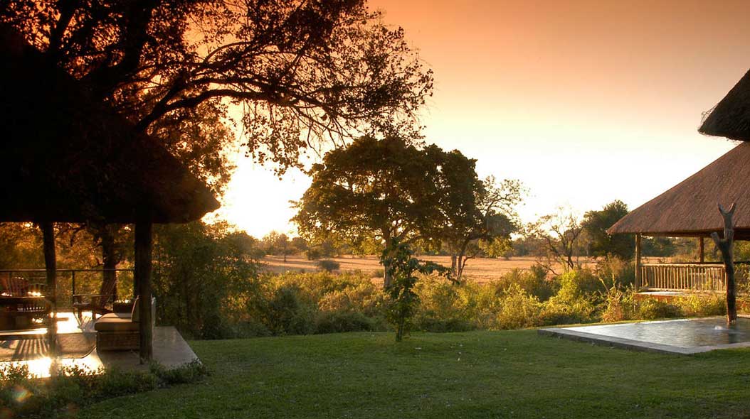 Sabi Sabi Bush Lodge: Video