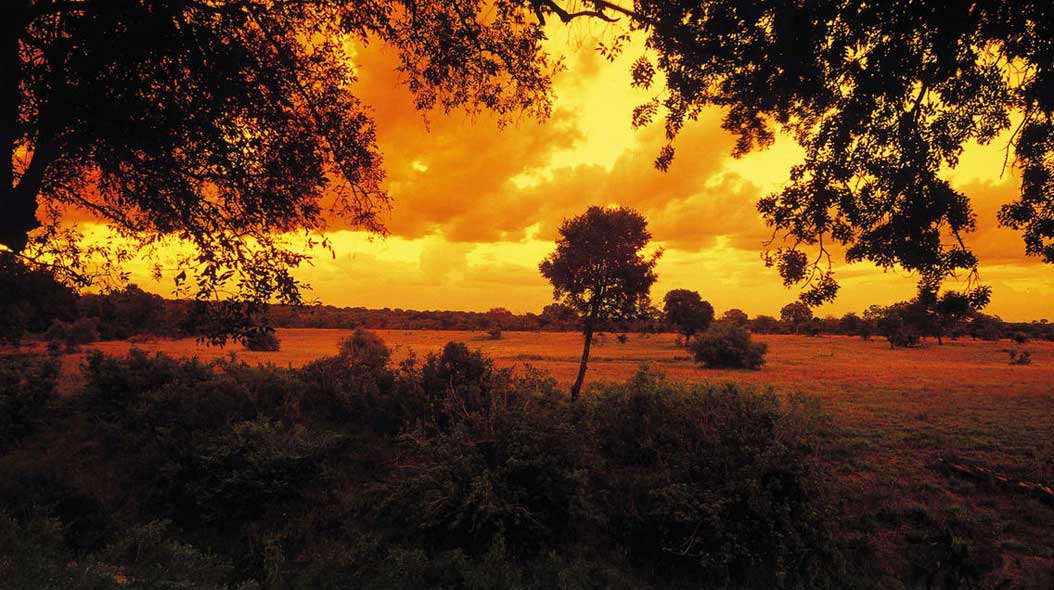 Sabi Sabi Selati Camp: Video
