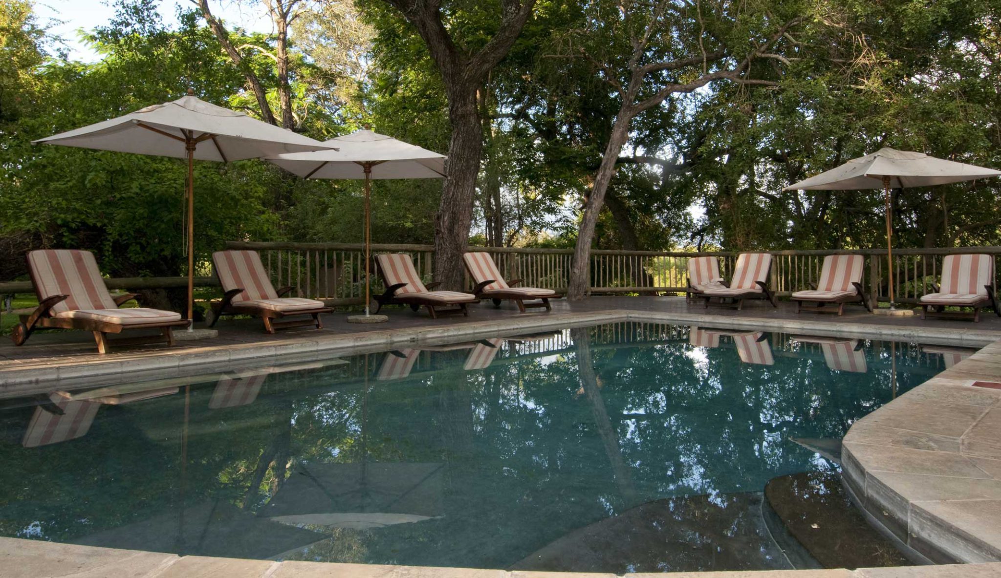 Luxury Safari Kruger