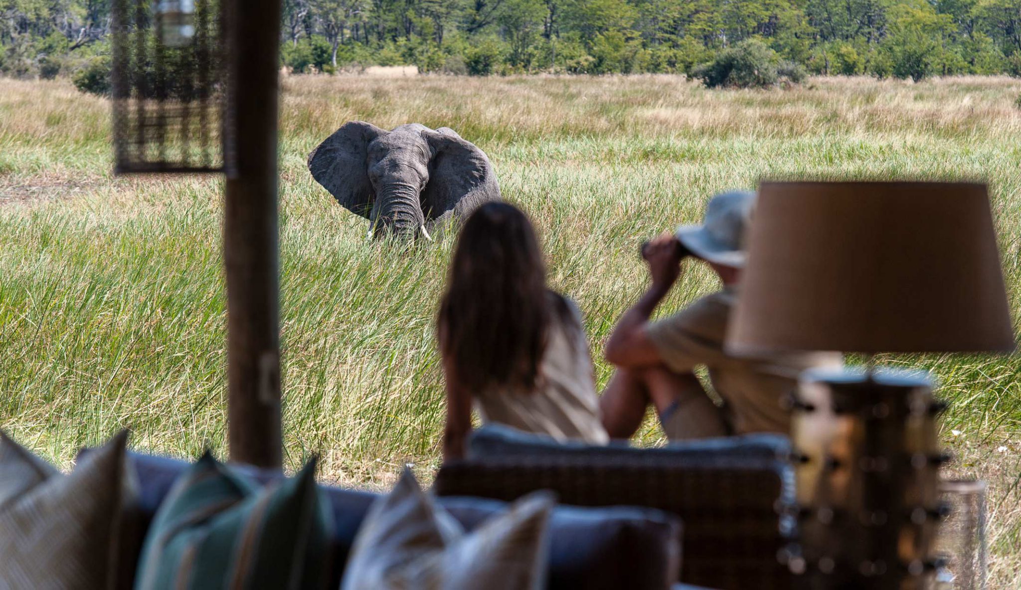 Wildlife Viewing Khwai Botswana