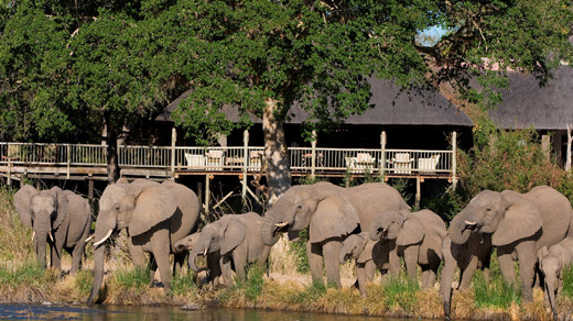 Sabi Sabi Bush Lodge