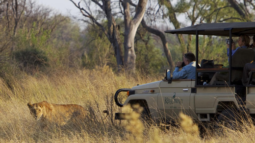 Highlights with Ker & Downey Botswana – Extended