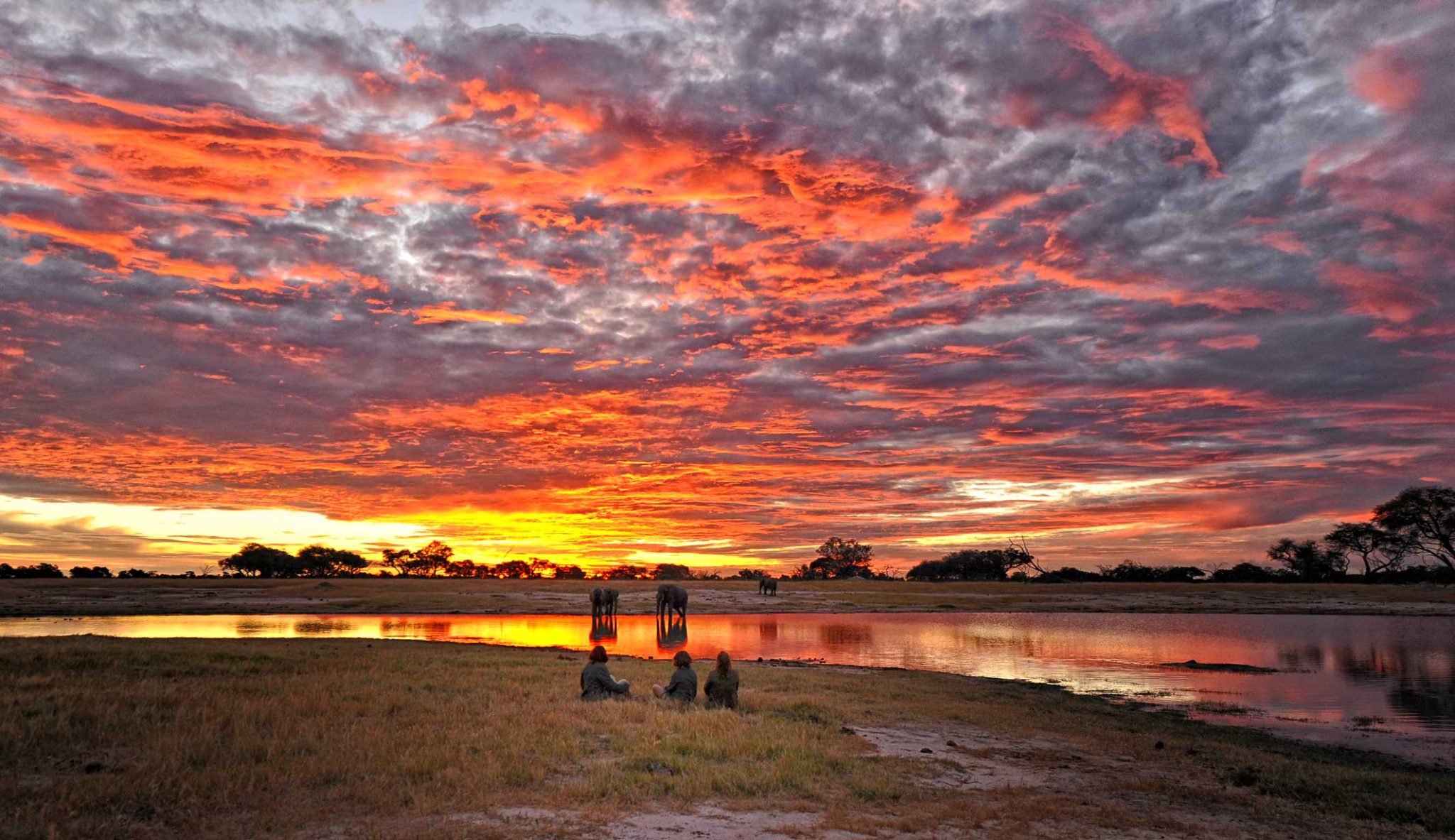 Safari Hwange National Park Zimbabwe