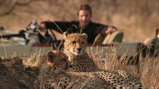 Tintswalo Safari Lodge