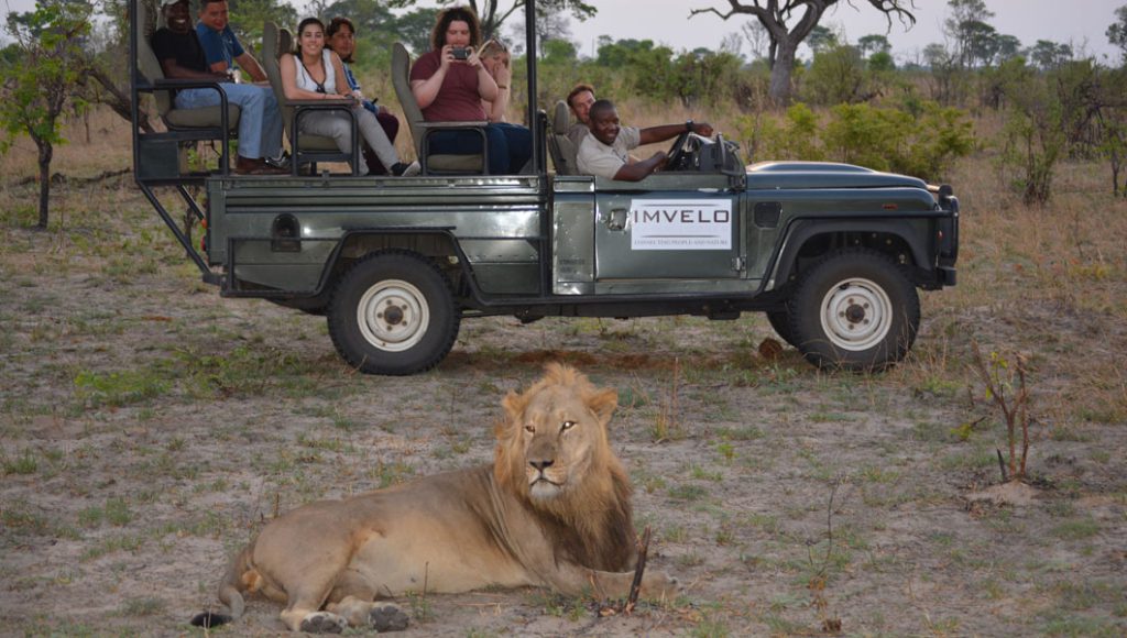 Safari with Bench Africa
