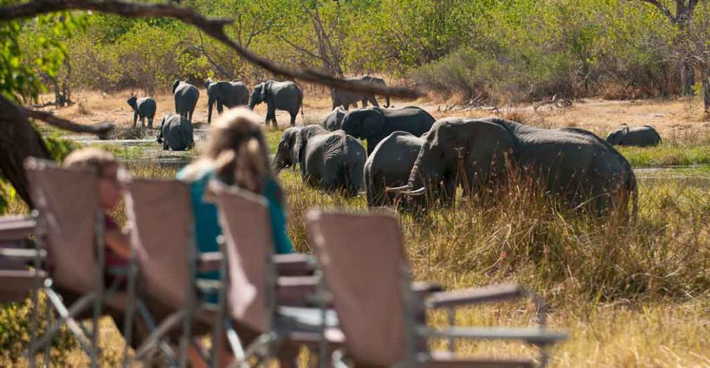 Safari Holidays with Kids