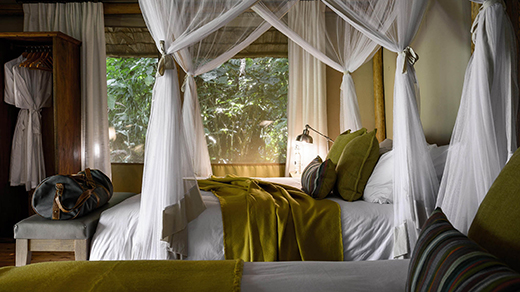 Gorilla Forest Lodge