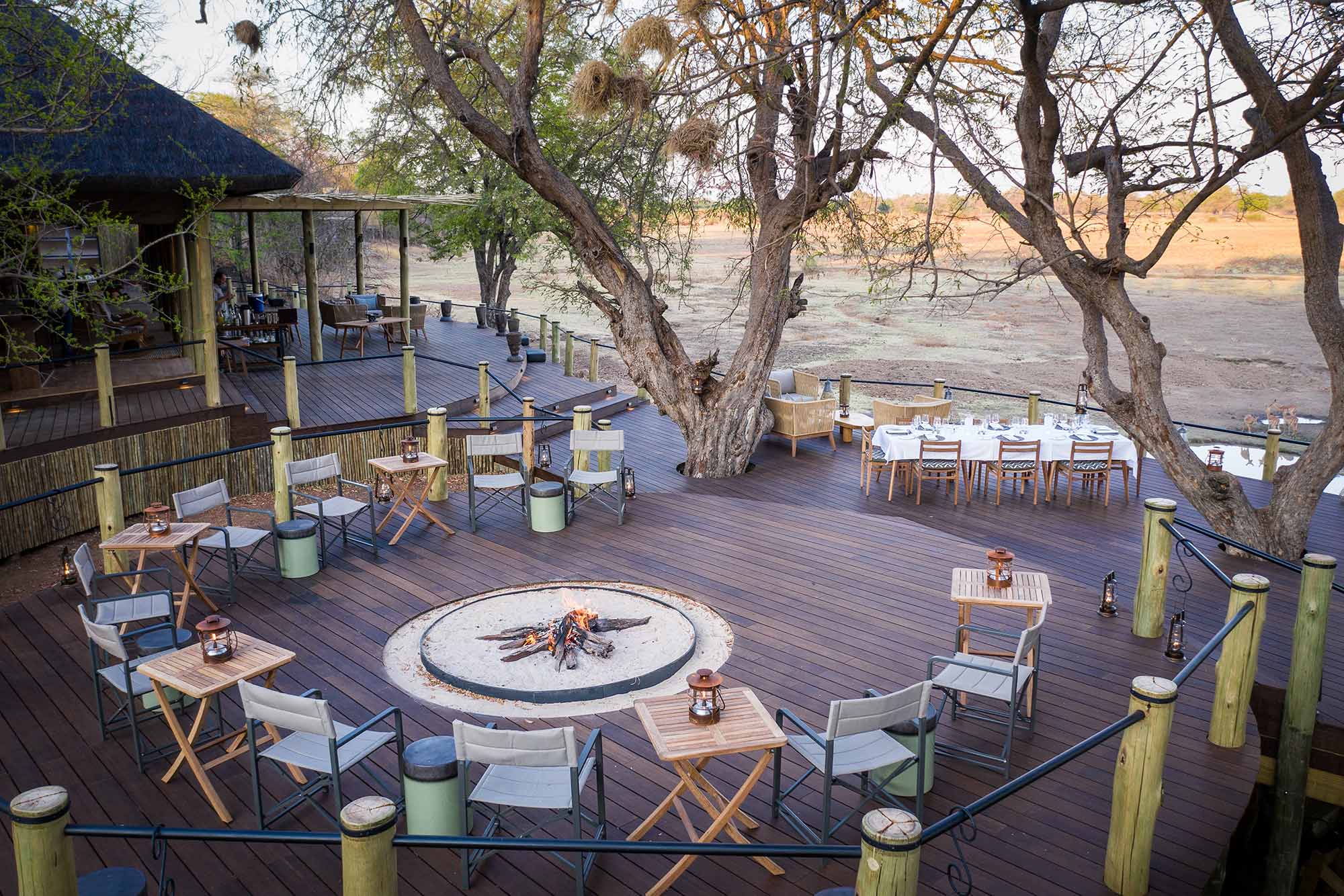 genets and honey badgers