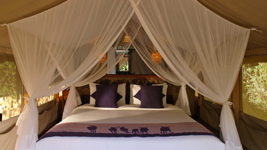 Sarova Mara Game Camp