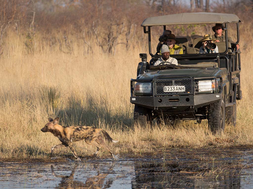 the camp offers four custom-designed