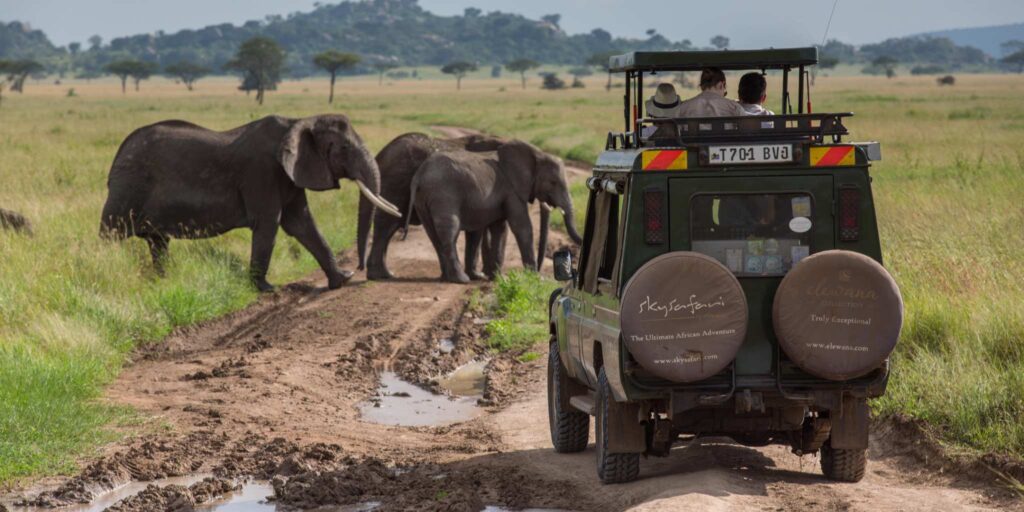 East Africa Vs South Africa Safari