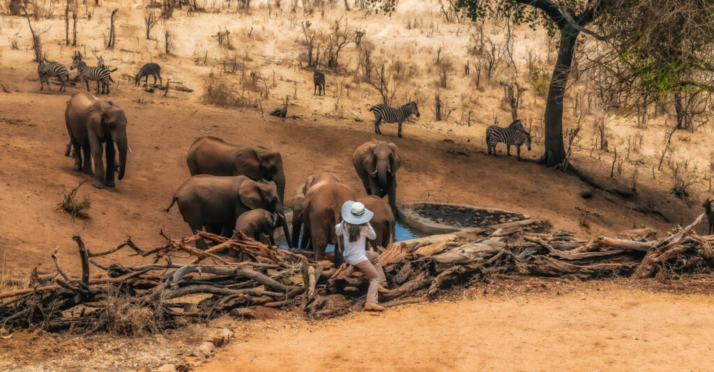 SkySafari by Elewana