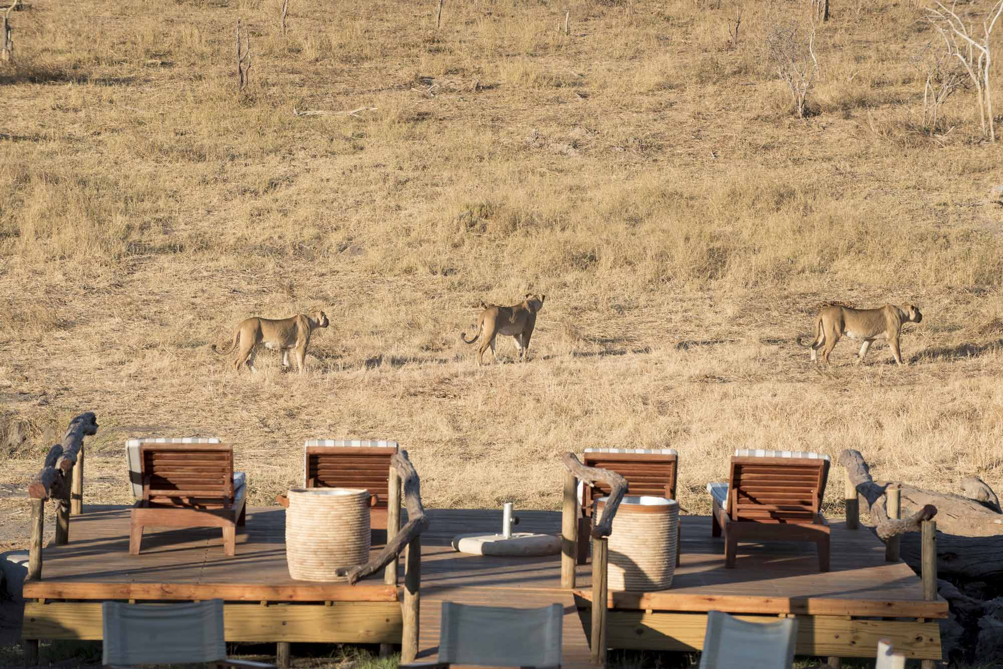 Waterhole Safari Camp Hwange