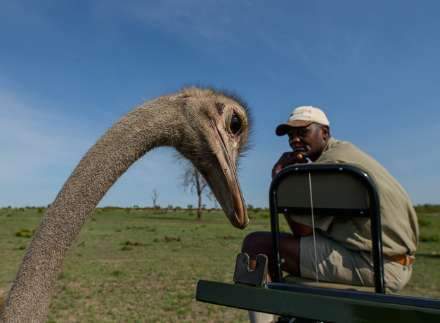 3 common myths about travelling in South Africa