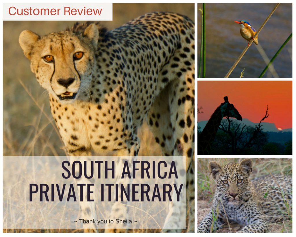 Family Safari Holidays