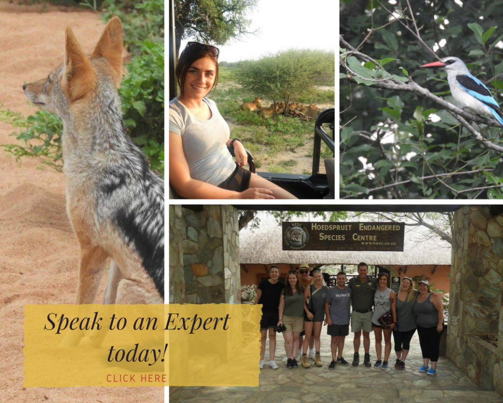 Small Group Tour Africa