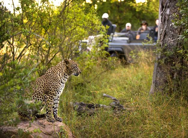 Visa Update for New Zealanders Travelling to South Africa