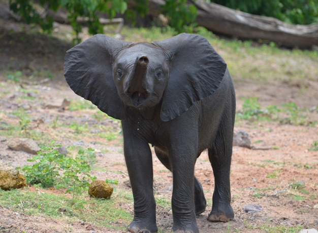 Bench Africa Customer Review – Southern Africa