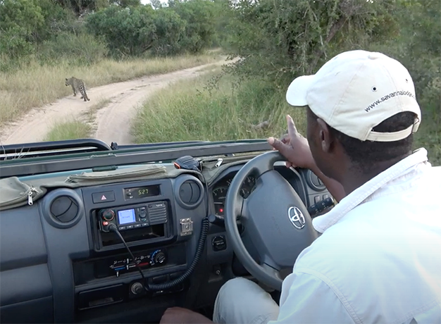 8 Ways to Enjoy an “Iso Safari” During Lockdown